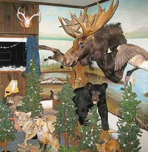 Pine Lodge Hunting Camps trophies